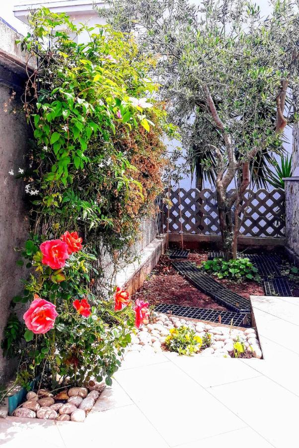 Apartments Iris كورتْشولا المظهر الخارجي الصورة